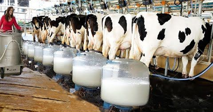 Dairy Development