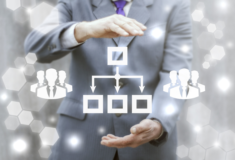 Organisational Structure